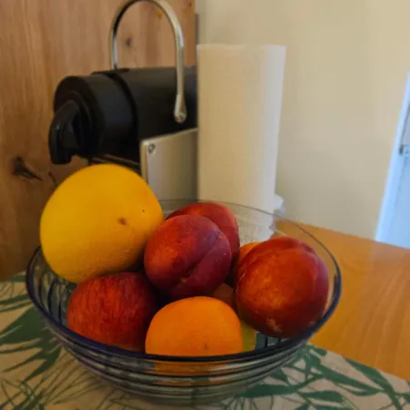 Into The Wild Διαμέρισμα