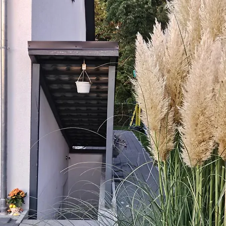 Into The Wild Διαμέρισμα